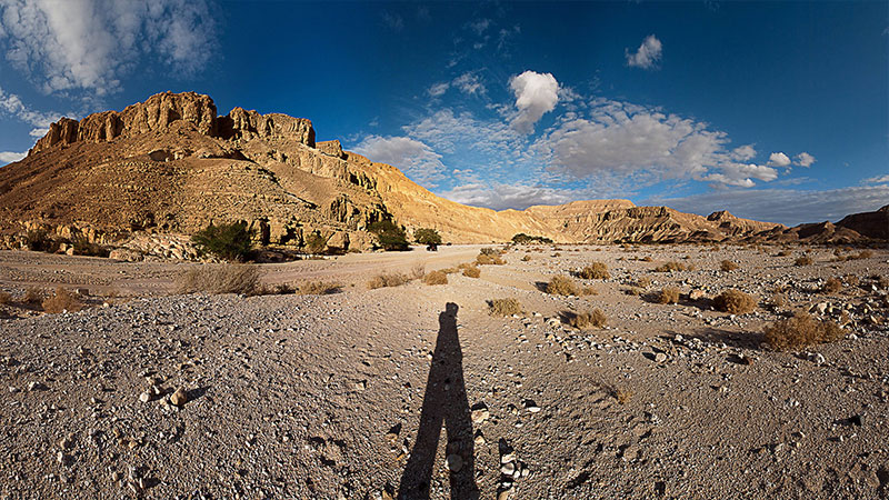 arava
