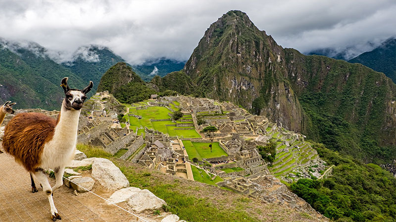 Un despertar en Machu Picchu